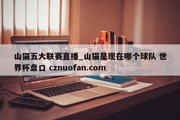 山猫五大联赛直播_山猫是现在哪个球队 世界杯盘口 cznuofan.com