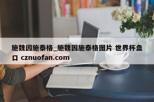 施魏因施泰格_施魏因施泰格图片 世界杯盘口 cznuofan.com